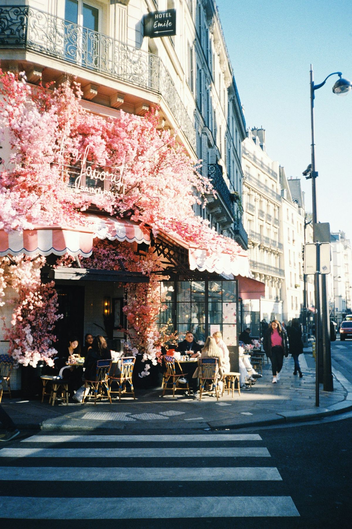 Gatehjørne i Paris med blomstrende tre